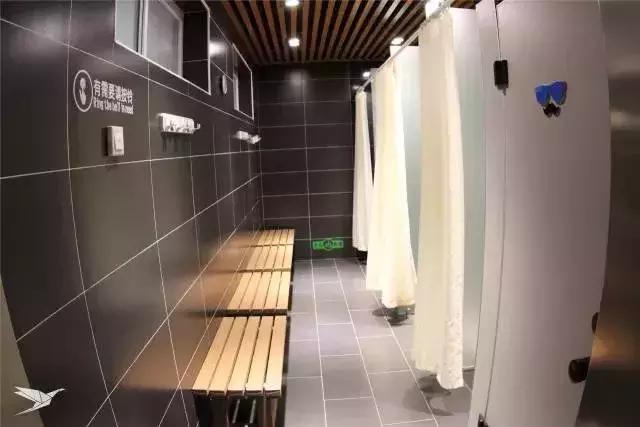 健康跑吧迎新春,奔跑吧周年庆节目