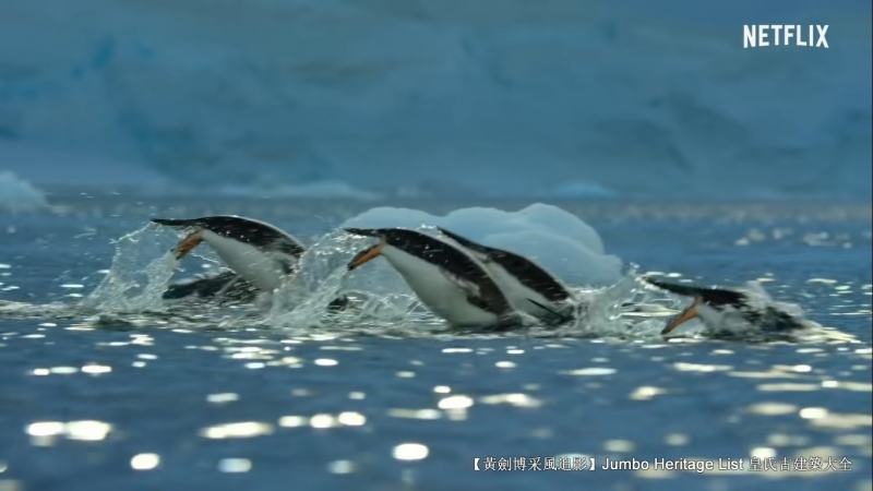 第40次南极科考南极行记,坚忍号的南极探索的纪录片