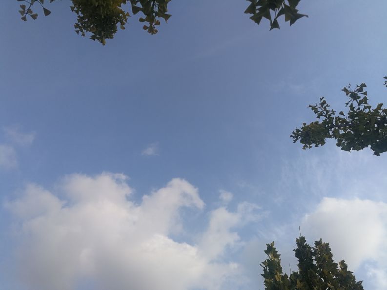 散文一缕墨香一丝牵挂,散文一朵丁香花