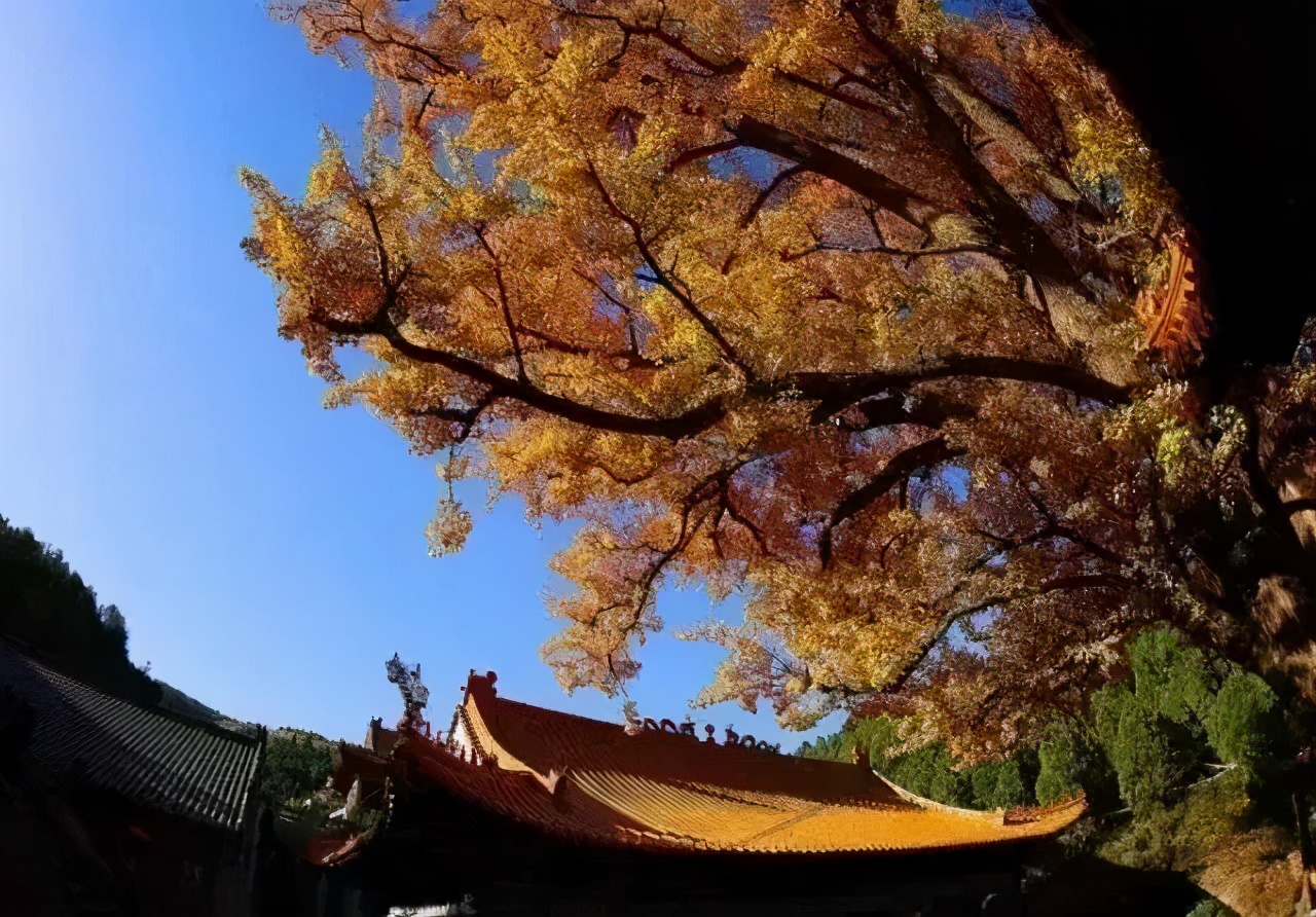 济南免费遛娃的地方,济南市十一带娃游玩好去处