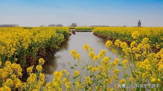 备孕期间有支原体阳性怎么办,备孕发现支原体阳性怎么办