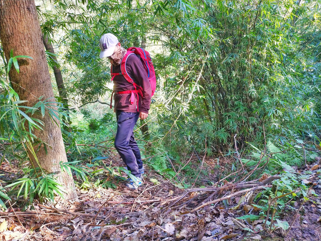 温暖舒适轻盈灵活——阿迪达斯HYBDSTRPTWT18男子户外长裤测评