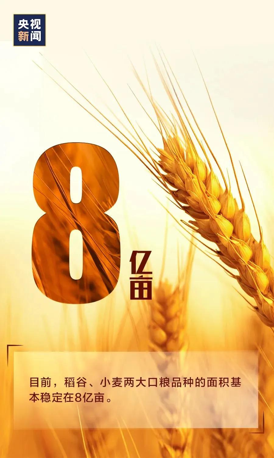 万全实验小学怎么样,万全镇新学校什么时候盖