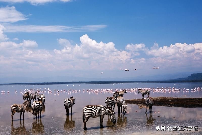 最新各国签证照片要求一览,各国旅游签证所需材料要求是什么