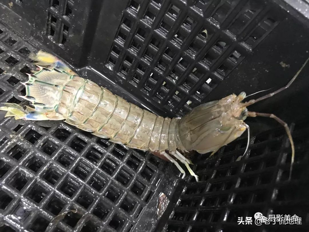 中国海鲜地图,中国海鲜最多地区