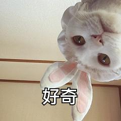 vivo手机截屏是怎样操作的,vivo手机截屏有几种方法怎么操作