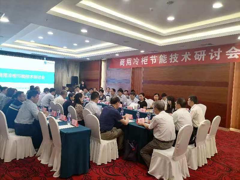 海尔一级能效冷柜,海尔厨房冷柜节能