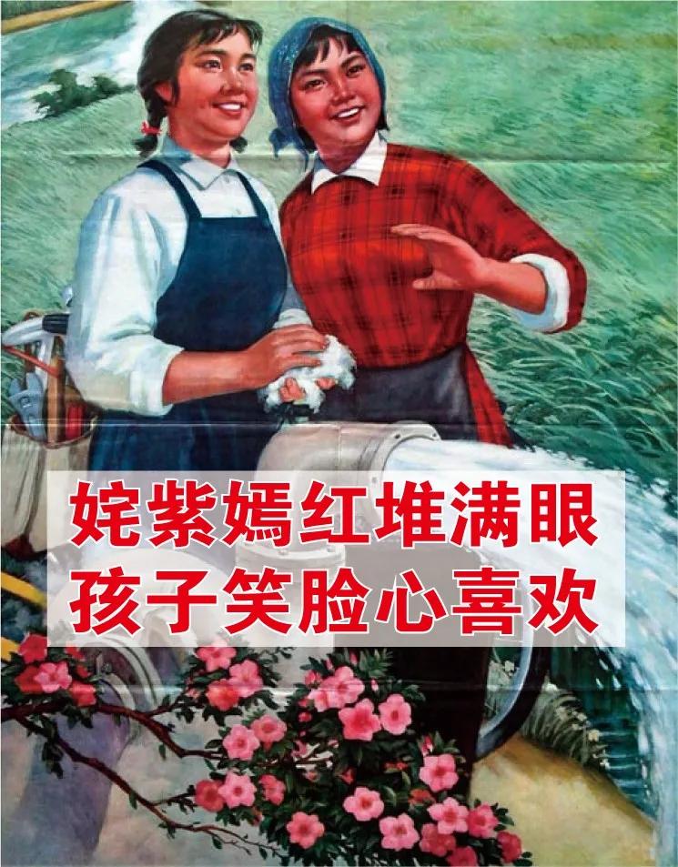 我不敢看中年妈妈的朋友圈