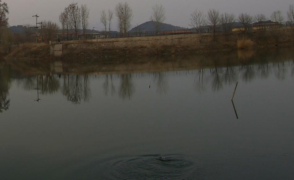 秋季路亚钓鲈鱼追饵不咬,路亚下午怎么钓鲈鱼