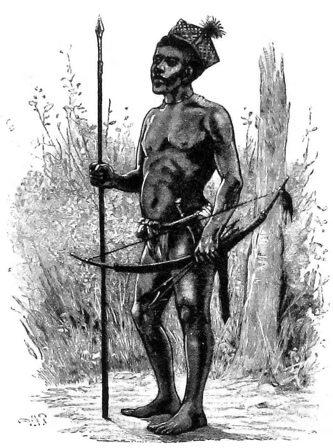 小人国真的存在吗藏在树里,小人国十大未解之谜