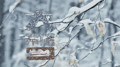 下大雪注意路滑动态表情,大雪问候动态图片