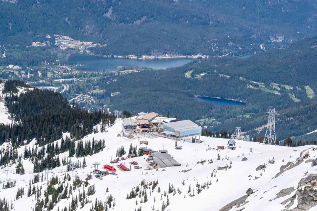 冬季世界冠军,世界冠军的辛酸