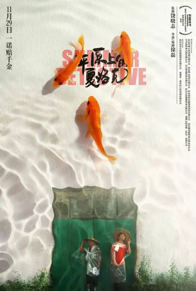 除了《少年的你》《流浪地球》，2019这九部电影才是被低估的神作