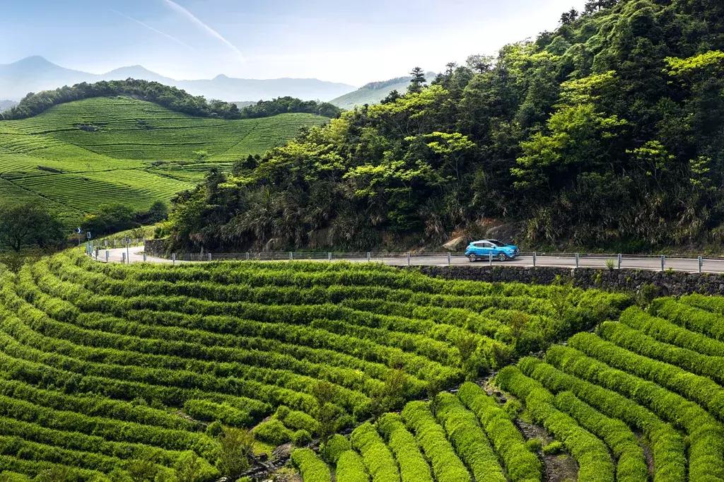 新款逍客实用体验评价,全新逍客经典款