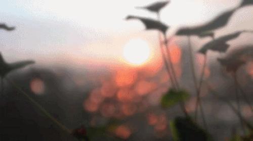 初夏听雨完整版原唱,初夏听雨抖音