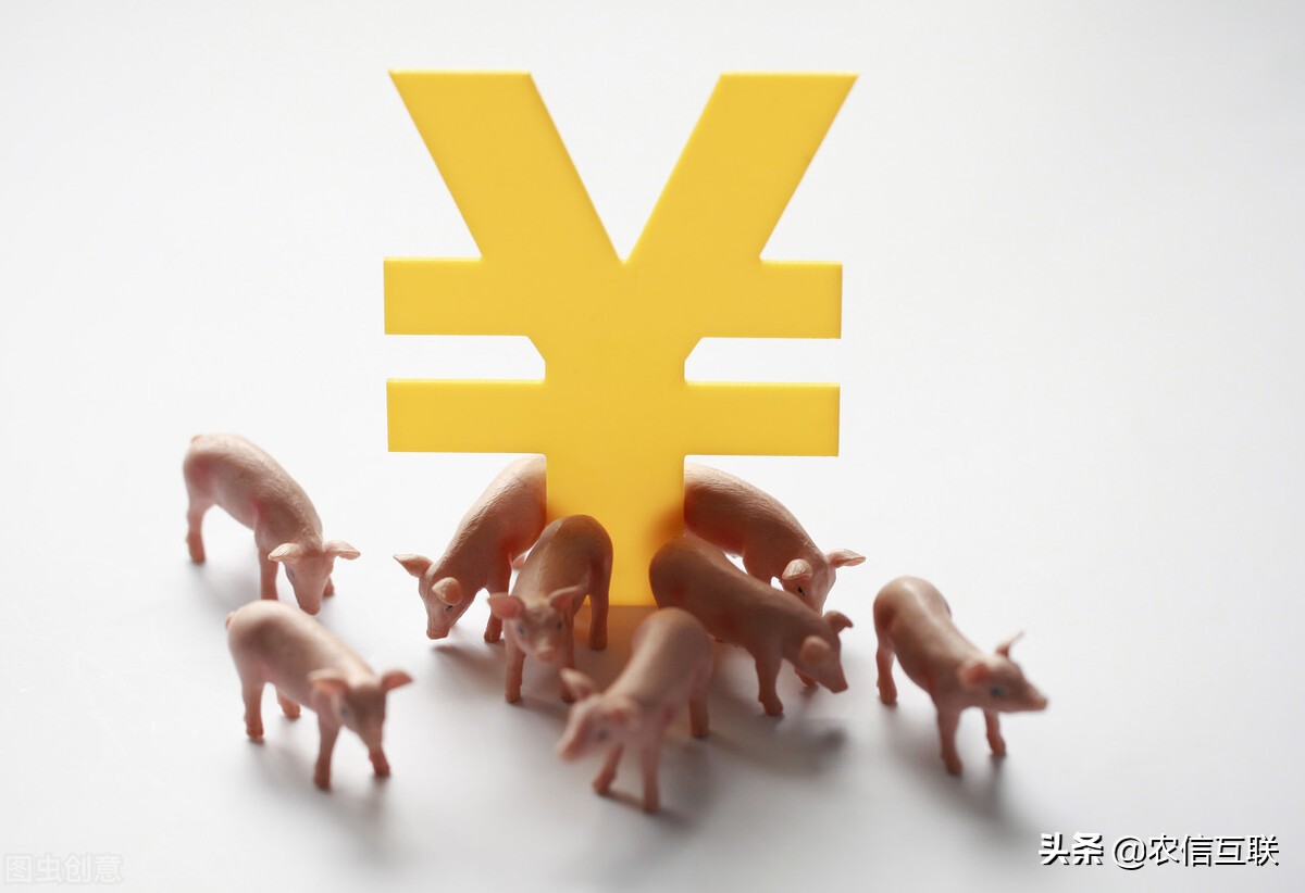 猪价“扶不起”？*疆新**又发生非洲猪瘟！行情将变？五一要暴涨？