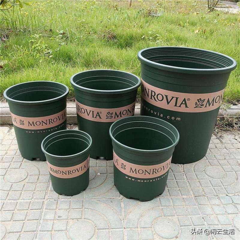 家居花盆如何选好看又实惠,家居种植花盆怎么选择