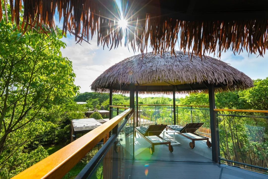 吸睛“鸟巢”上线！感受童话田园生活，来度假区这家露营地就对啦