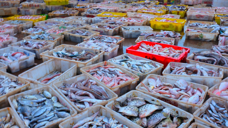 广东湛江景点及美食攻略,广东游记湛江市最美味的海鲜