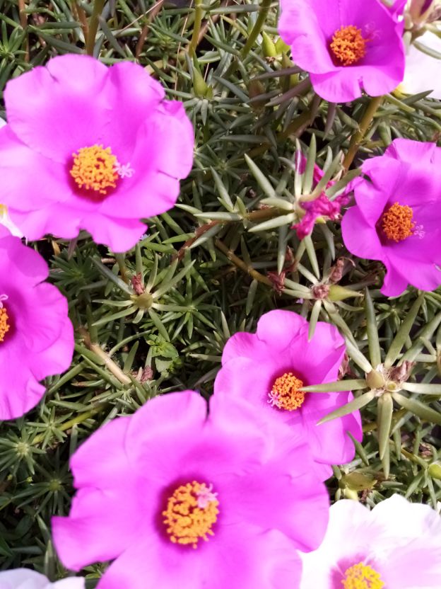 陈慧琴|普通人如何用写作打造个人品牌,10倍放大自己的影响力?