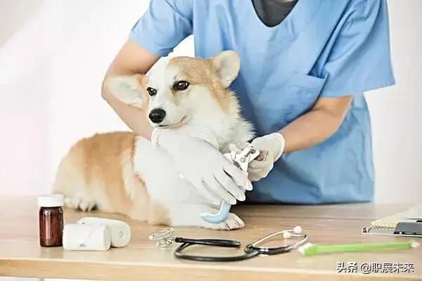 十大冷门高就业专业,最新十五个冷门专业就业