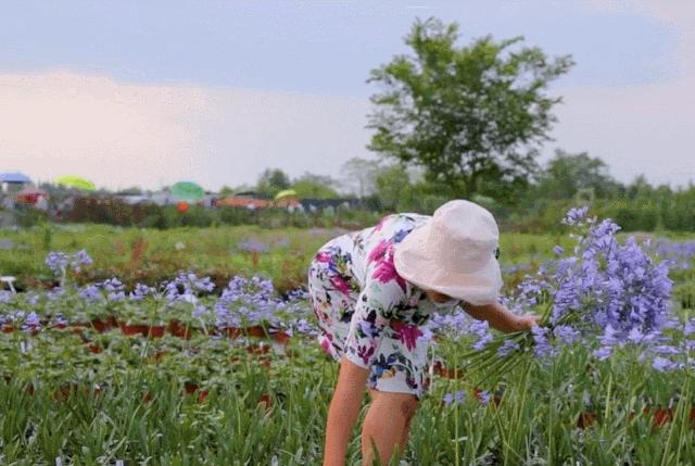 曾是电脑城销售，12年后坐拥60亩私家花园，137万网友跟她看春天