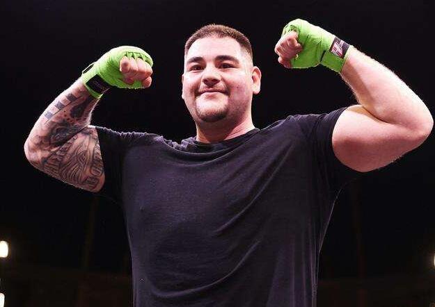 安迪鲁伊兹职业生涯战绩,安迪鲁伊兹现役