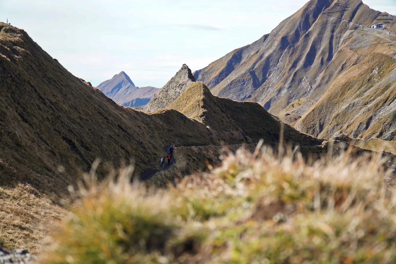 瑞士少女峰旅游详细攻略,四姑娘山徒步路线免费推荐