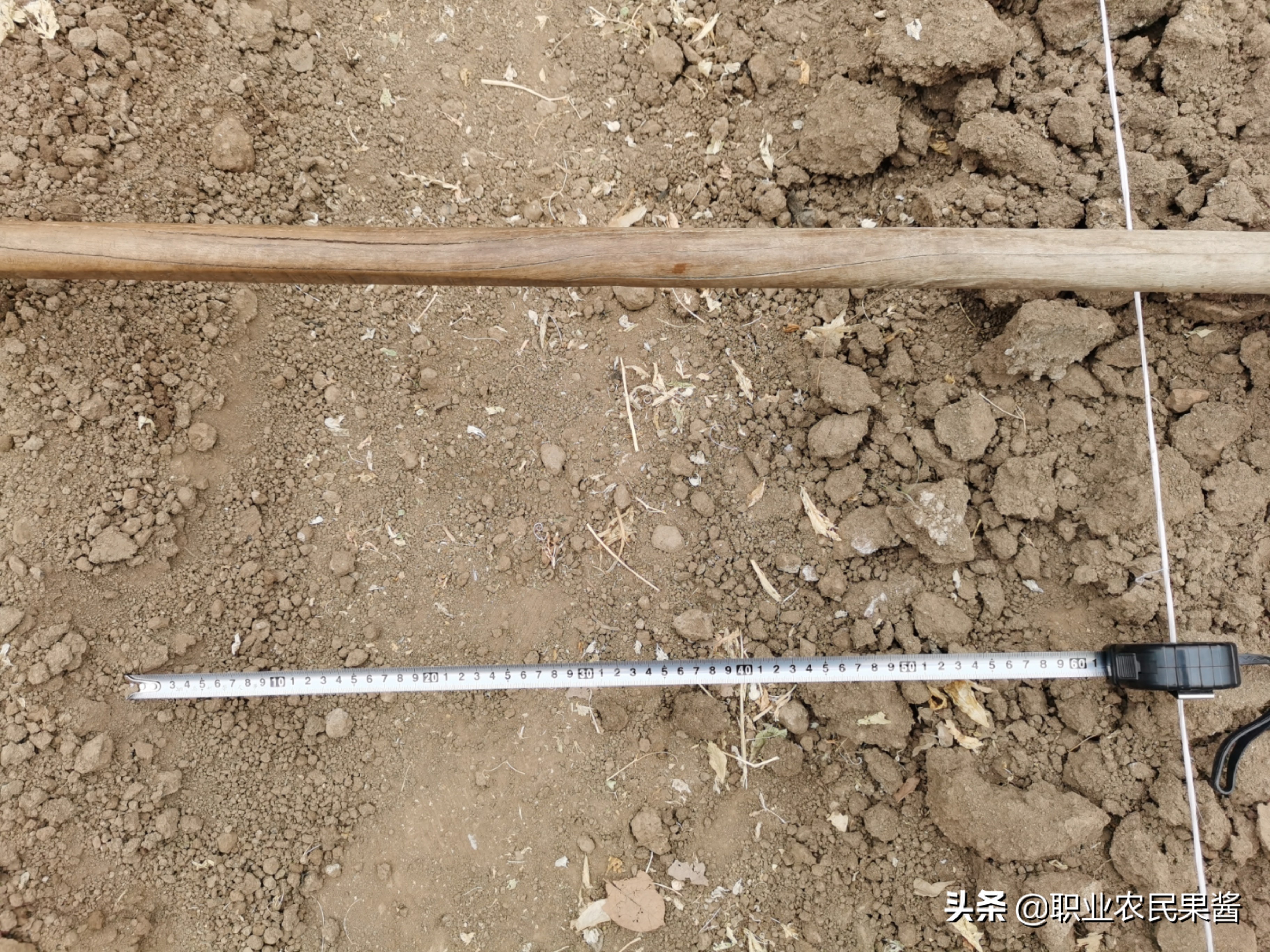 大棚蔬菜种植如何起垄,大棚蔬菜种植整地