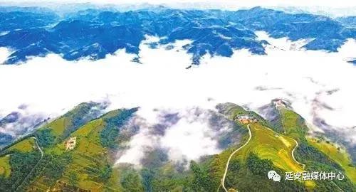 延安向全国人民交出优异答卷,延安改革创新