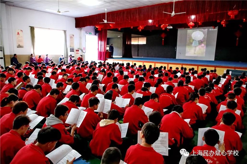 【扩散】一张一驰，文武斌心——民办斌心学校2020招生公告