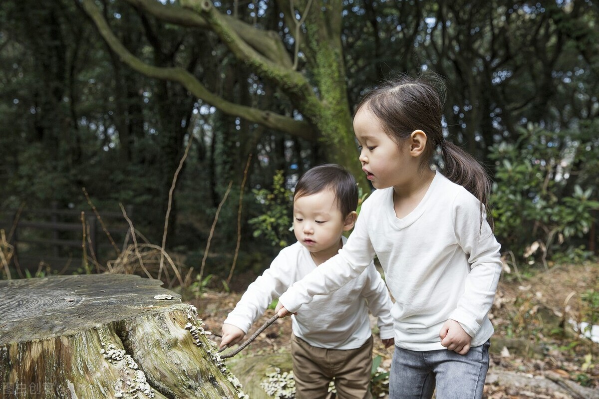 我翻了6千条评论,找了38个故事,为你呈现真实的中国姐弟关系