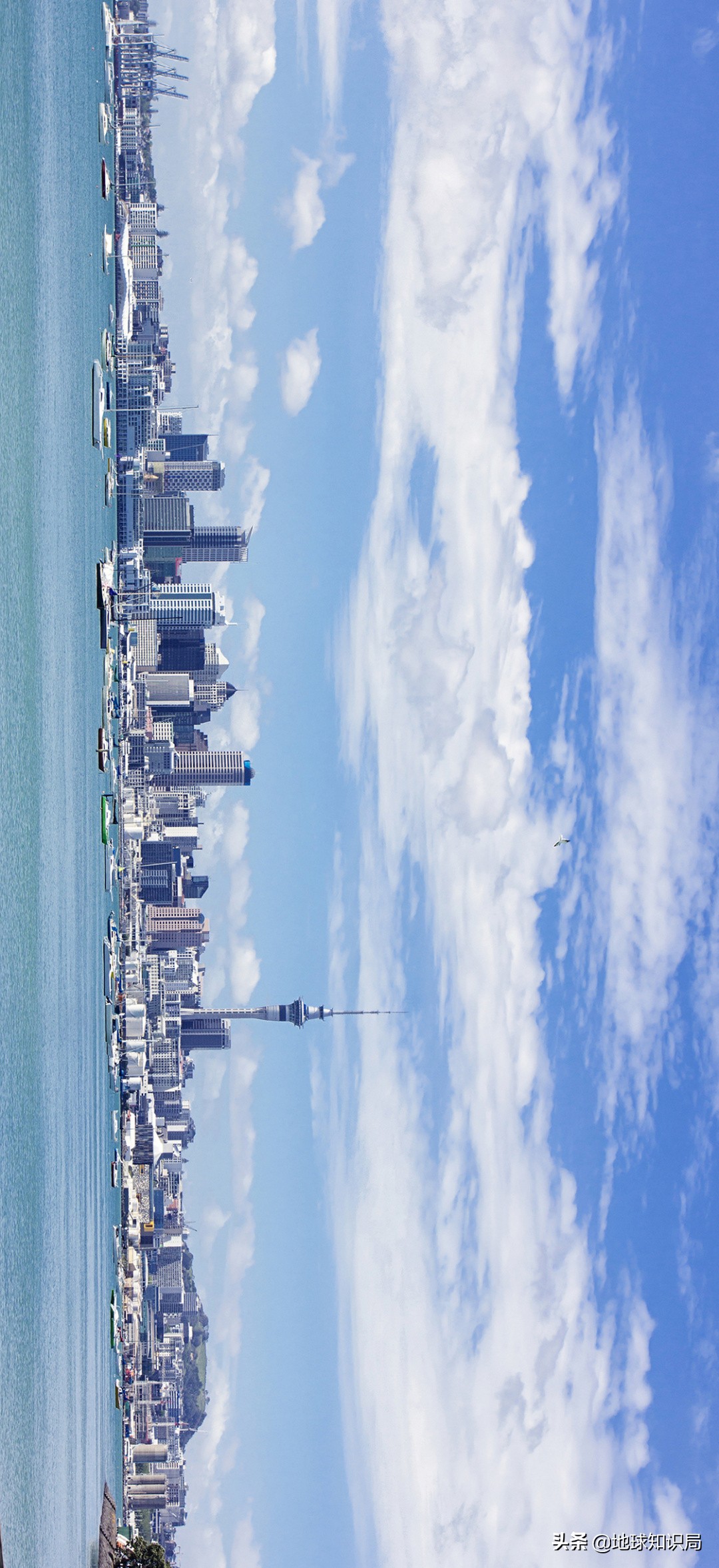 新西兰为什么要吸引人移民,新西兰为什么引进移民