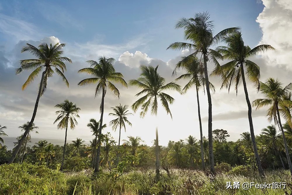 最不想分享的小众海岛,小众海岛旅行