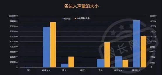精准社交营销,跨界网红营销模式