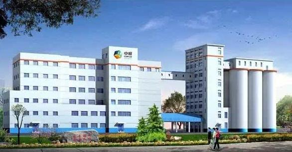 国产食用油十大品牌,中国十大食用油厂排名