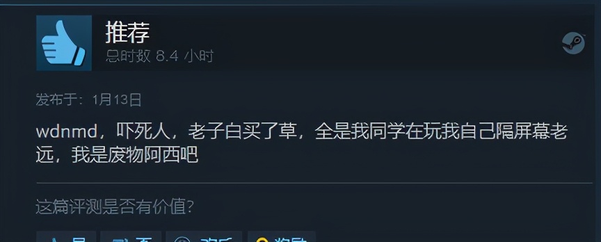 steam里面一个很搞笑的游戏是什么,steam搞笑趣评