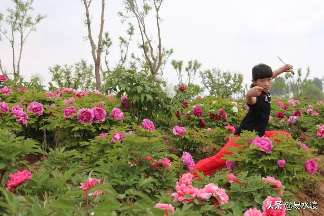 易县狼牙山小火车,河北保定易县火车