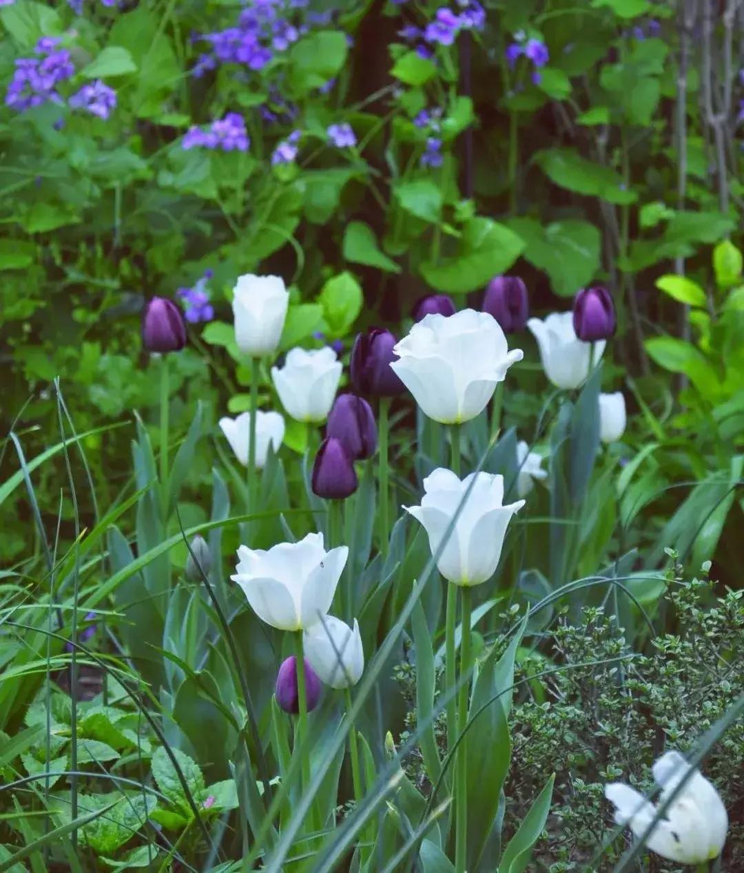 她40岁之前忙成狗，40岁之后在上海买房隐居