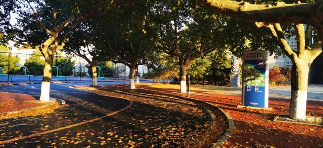 高考考入大连海事大学,大连海事大学高考2020