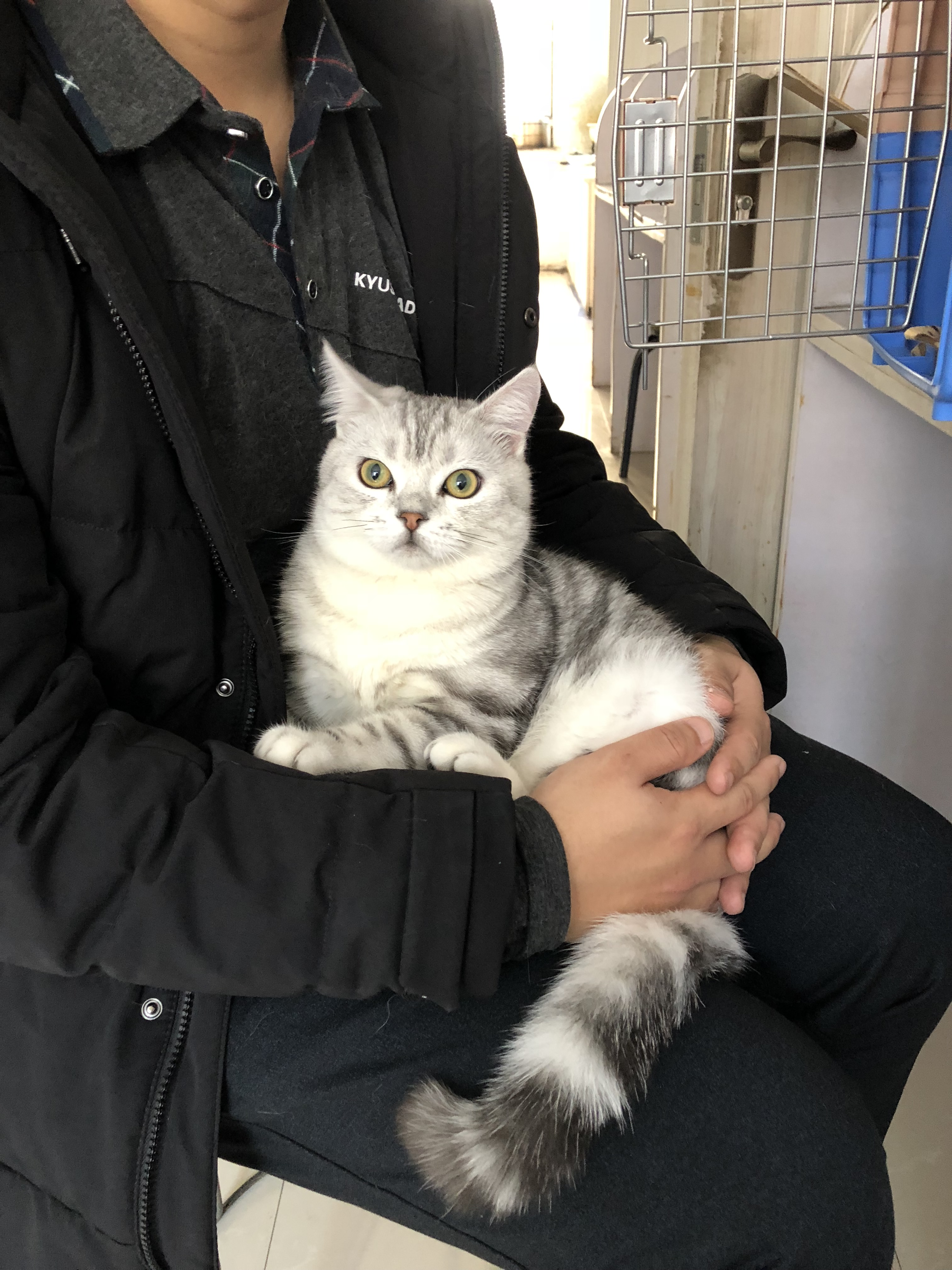 猫藓不可怕,对抗它需要的不仅仅是药物,更需要时间与耐心