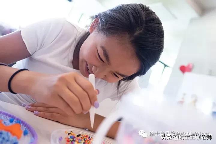 瑞士萝实国际学校录取难度,瑞士萝实国际学校怎么样