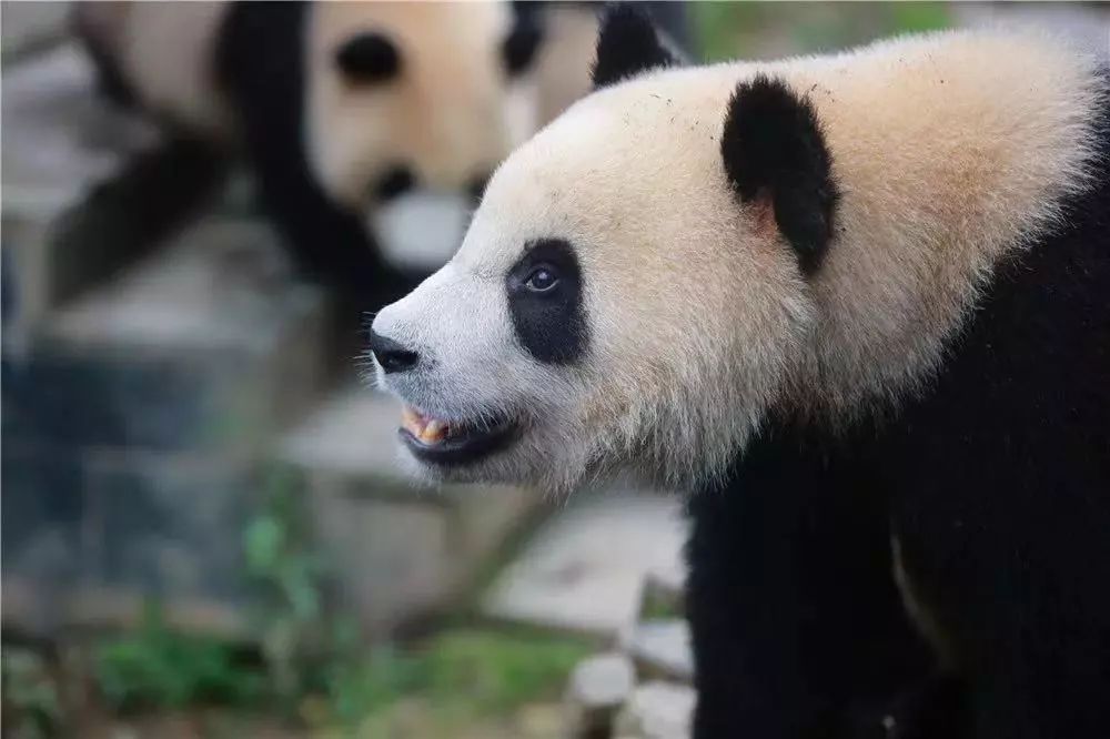 青海即将开通的高铁线路图,江苏即将开通的高铁线路图