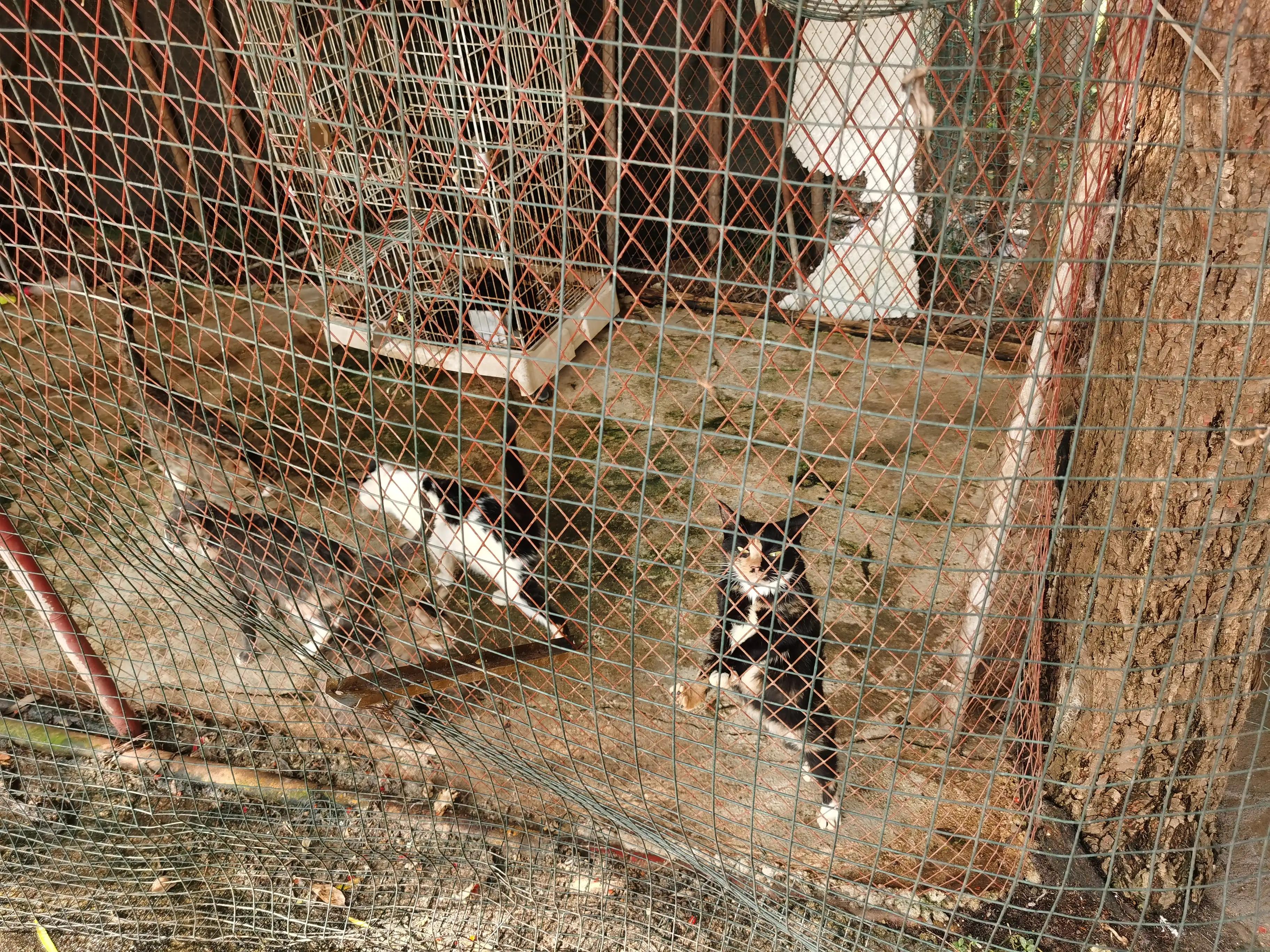 绿地铂瑞酒店沈阳遛娃,武汉汉南遛娃好去处