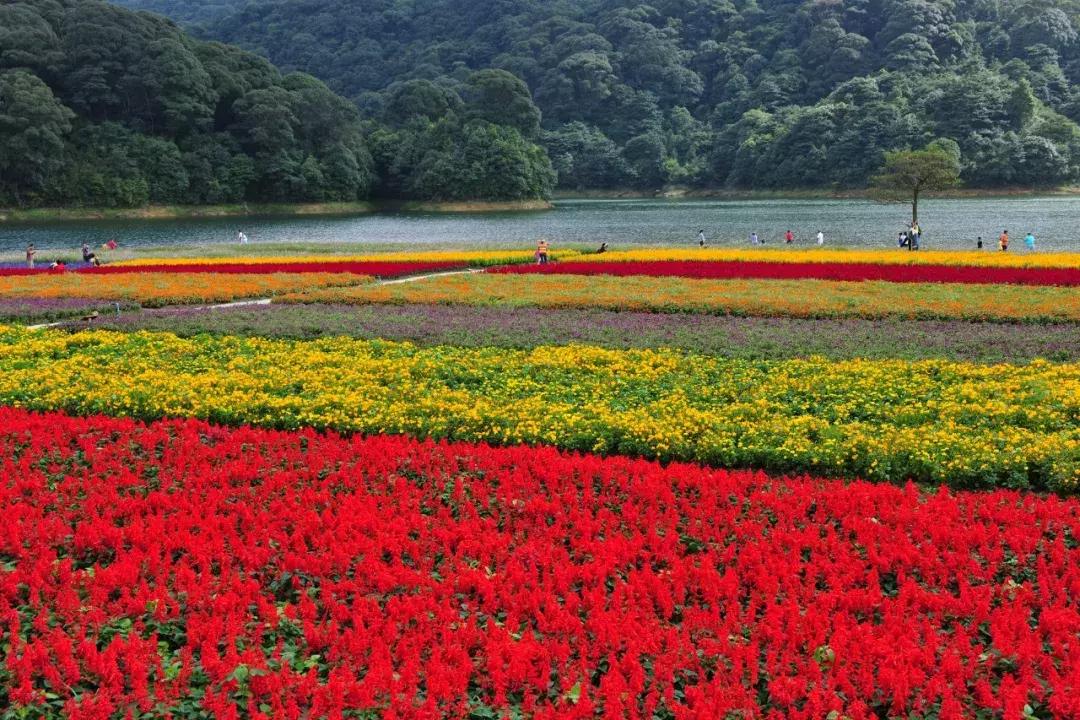 广州国庆旅游攻略大全图,广州最全景点攻略