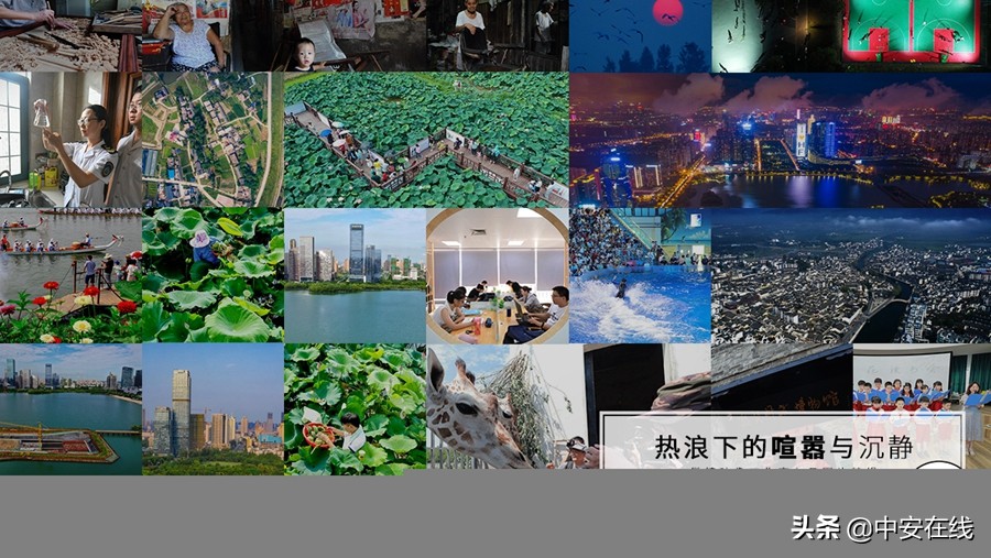 安徽七月,七月安徽景色