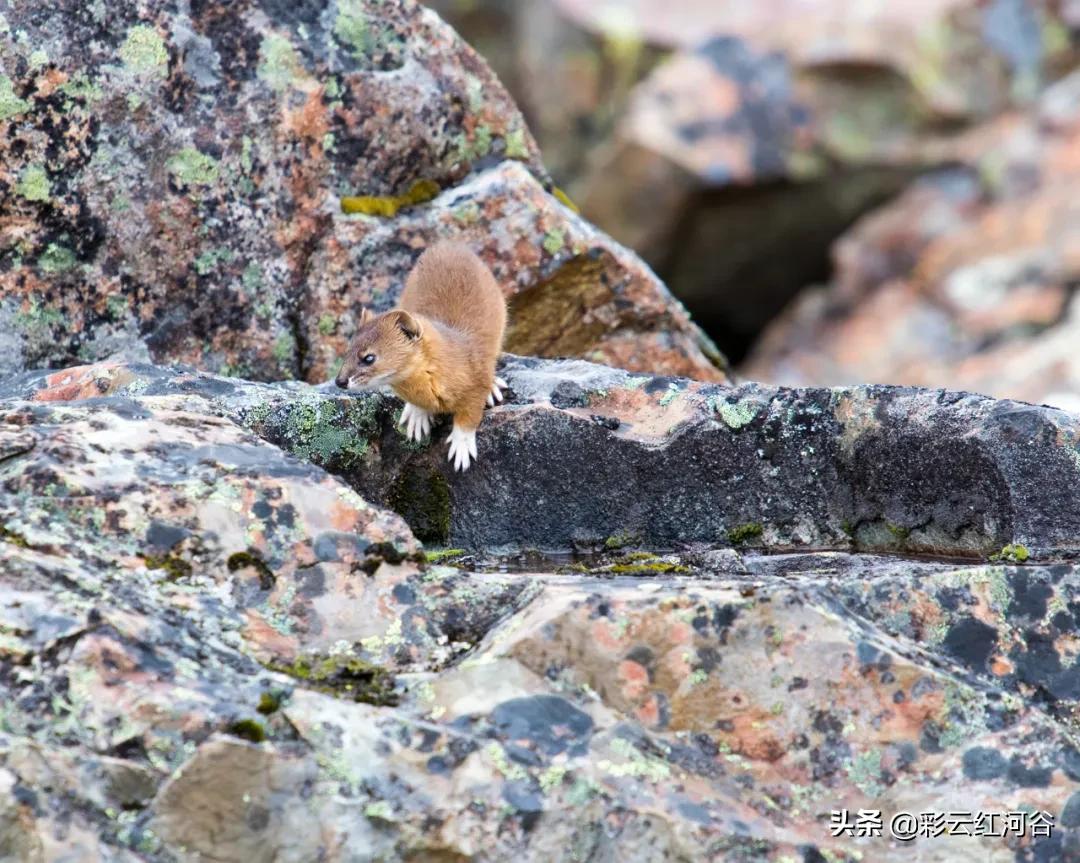 中国云南哪里好看,云南的云彩为什么好看