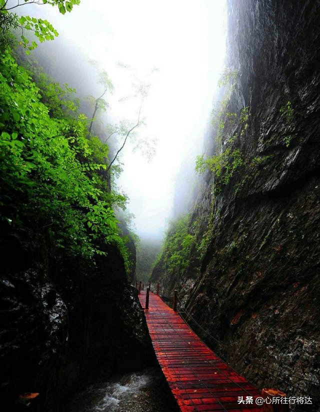 金丝大峡谷旅游有哪些推荐,金丝大峡谷景区攻略