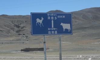 为什么到西藏一定要去阿里,不去拉萨能到那曲吗