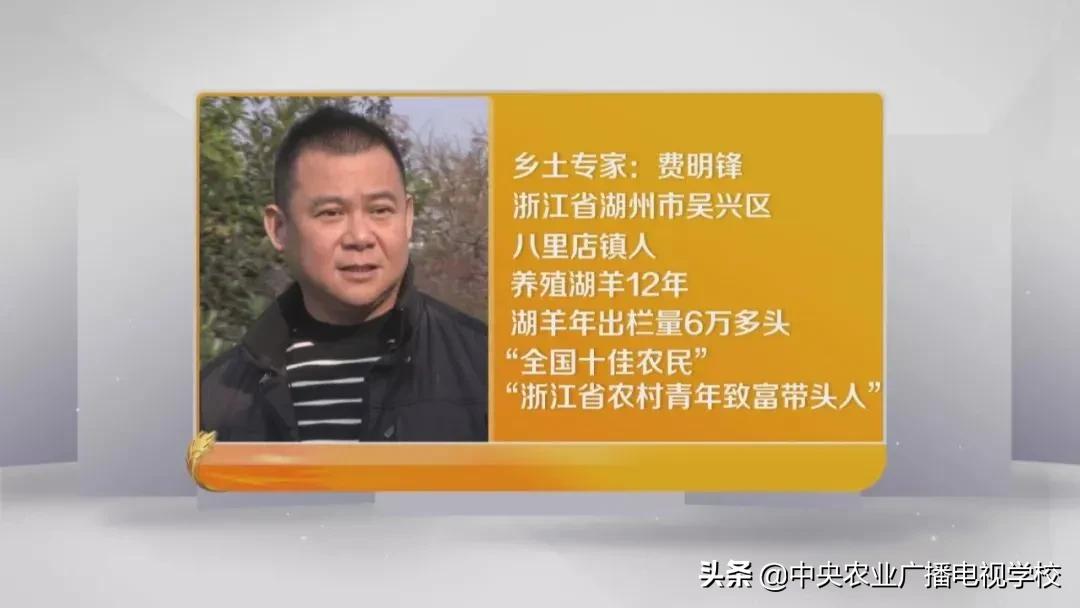 【田间示范秀】连年亏损的羊场，如何在短时间内完成逆袭？